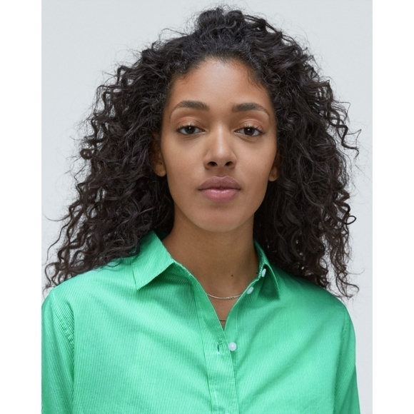 Everlane Shirt Women Mint Green Striped Button Up The Silky Cotton Relax… - Picture 2 of 11